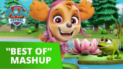 بهترین سری انیمیشن سگهای نگهبا...