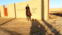 سپهر میبد  مالک : یوسف فرزندی