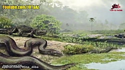 حیوانات بینظیر منقرض شده