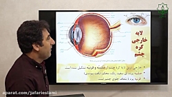 ویدیو آموزش گفتار 1 فصل 2 زیست شناسی یازدهم بخش 2