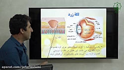 ویدیو آموزش اندام حسی چشم زیست شناسی یازدهم