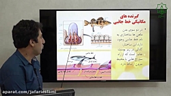 ویدیو آموزش گفتار 3 فصل 2 زیست شناسی یازدهم