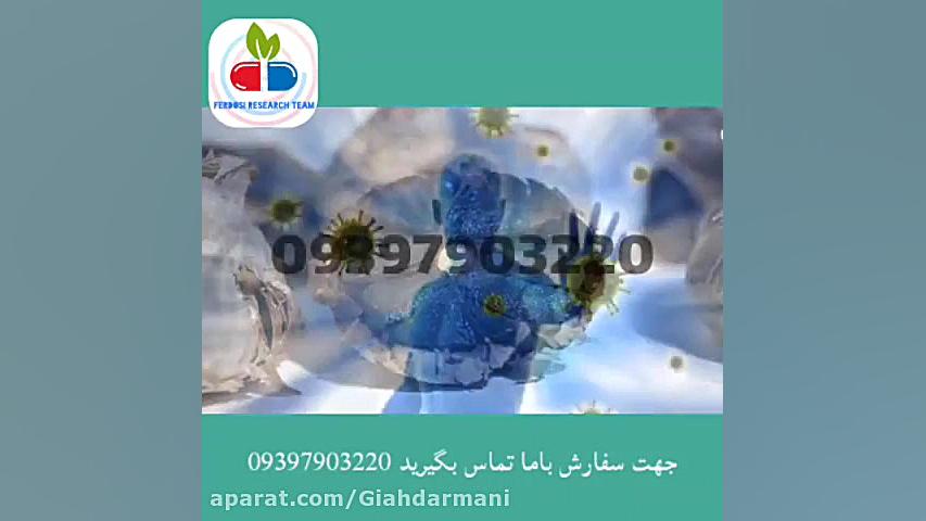 درمان کامل پسوریازیس با سیر سیاه در سه ماه کله عنکبوت