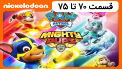 مجموعه ی جذاب و دیدنی سگهای نگ...