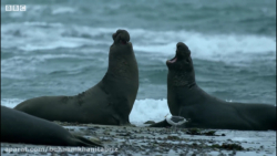 مردان غول آب یخی - جنگ تنگاتنگ