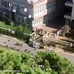 چهره واقعی یک فرشته را ببینید...