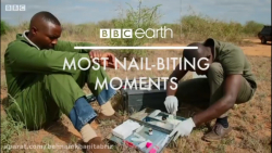 مستند زیبا کمک گروه جنگل بانی...