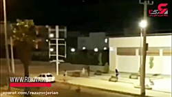 فیلم وحشت زنان و مردان از مرد...