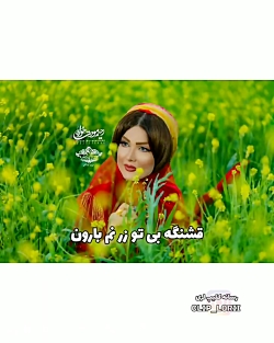 آهنگ لری  فرشید حکمتی