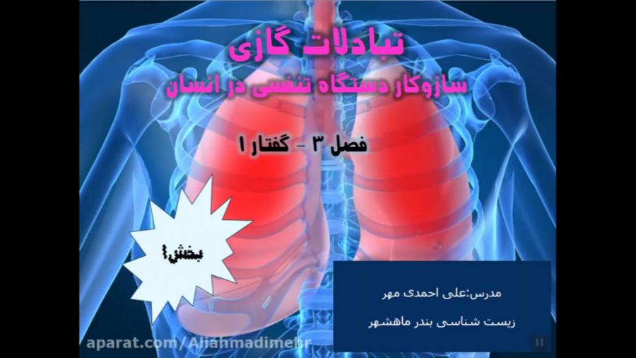 ساز و کار دستگاه تنفسی در انسان پارت1 ابرسانی پوست
