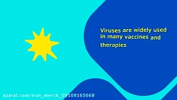 خرید Hydroxypropyl methyl cell...