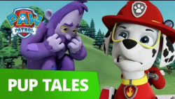 انیمیشن سگهای نگهبان : نجات ها...