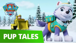 انیمیشن سگهای نگهبان : نجات گر...