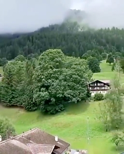 آهنگ یه چیزی میشه دیگه غصه هات...