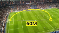 17 از بهترین گل های از راه دور...