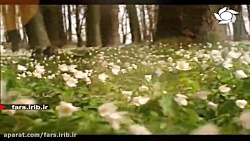 ترانه &quot; حکایت &quot; با ص...