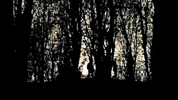 تیزر فیلم «ماهی سیاه کوچولو»