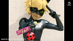 لیدی باگ یا کت نوار؟