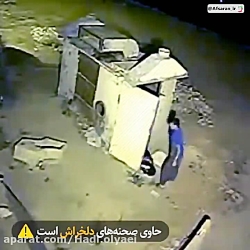 تصاویر دلخراش از رفتار کسانی که مورد حمایت سلبریتی ها هستند