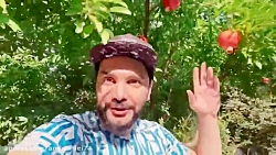 کلیپ طنز محسن ایزی :: رابطه آر...