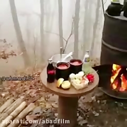 کلیپ استوری جذاب در طبیعت واسه...