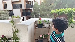 آرش باطنی کلاس دوم فارابی
