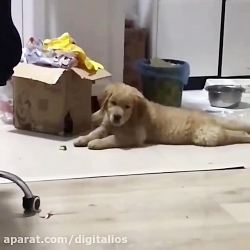 وقتی آهنگ موردعلاقه‌ت پخش میشه