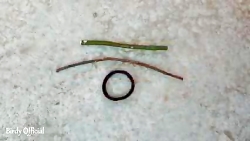 اینم تله برای گرفتن گنجشک سانا...