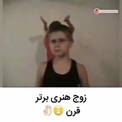 میمون ها