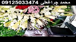 تشییع جنازه خاکسپاری