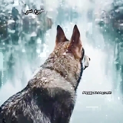 دکلمه گرگ پیر