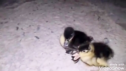 دوبله ی خنده دار