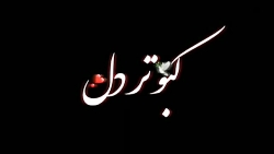 آهنگ بسیار زیبا و دلنشین !