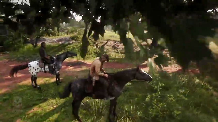 میان پرده پنهان Red Dead Redemption 2