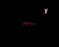 رزمندگان و شهدای هرمزگانی در د...