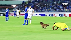 بازی هایی که هرگز تکرار نخواهن...