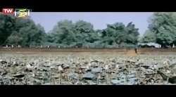 فیلم هندی خشم