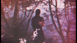 کلیپ بسیار زیبا و دلنشین پاییز...