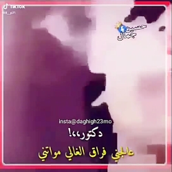 احله اغنیه عربیه