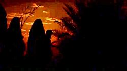 مداحی حاج مهدی سلحشور