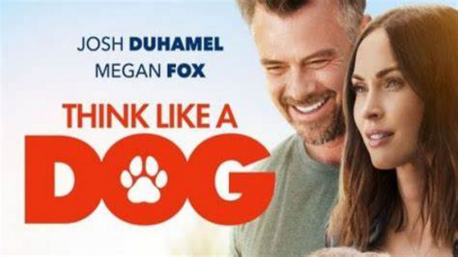 دانلود فیلم Think Like a Dog 2019 مثل یک سگ فکر کنید با زیرنویس فارسی زمان4734ثانیه