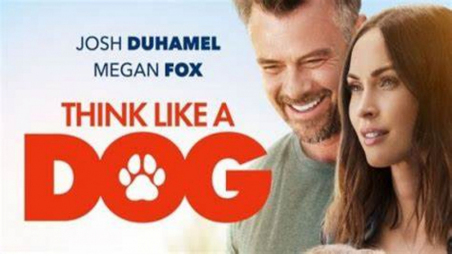 دانلود فیلم Think Like a Dog 2019 مثل یک سگ فکر کنید با زیرنویس فارسی زمان4734ثانیه