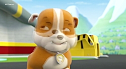 انیمیشن سگهای نگهبان :: بهترین...