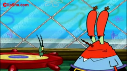 باب اسفنجی جدید