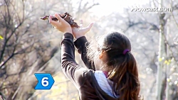 چطور از یک بعد از ظهر پاییزی ل...