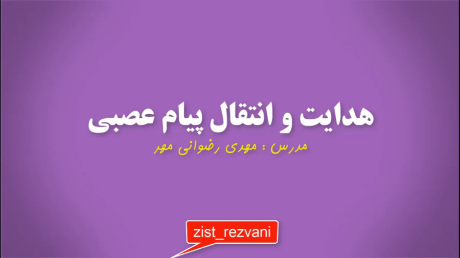 هدایت و انتقال پیام عصبی/نورون/سیناپس/آکسون/دندریت/ناقل عصبی/دستگاه عصبی پلاستیک لثه