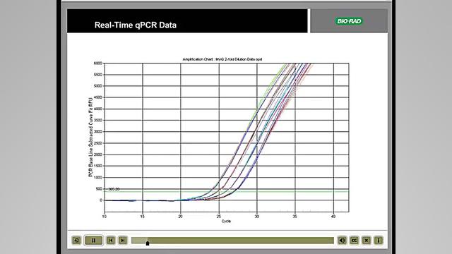 real Time QPCR دریک