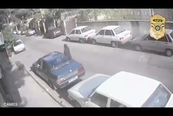 دزدی های نامردانه