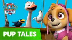 انیمیشن سگهای نگهبان : نجات پر...