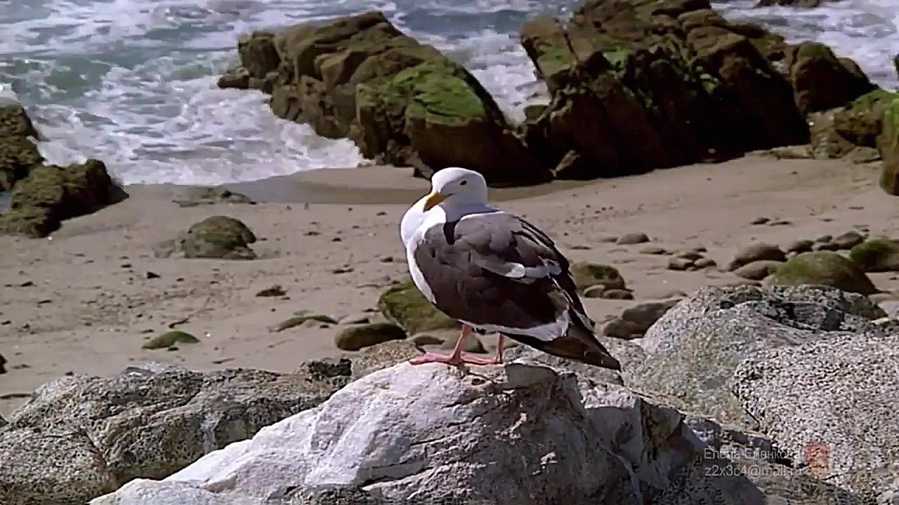 Giovanni Marradi Only You - another visual version زمان195ثانیه